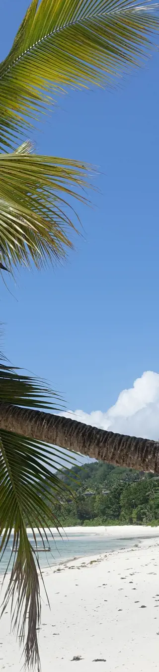 Unberührter Traumstrand